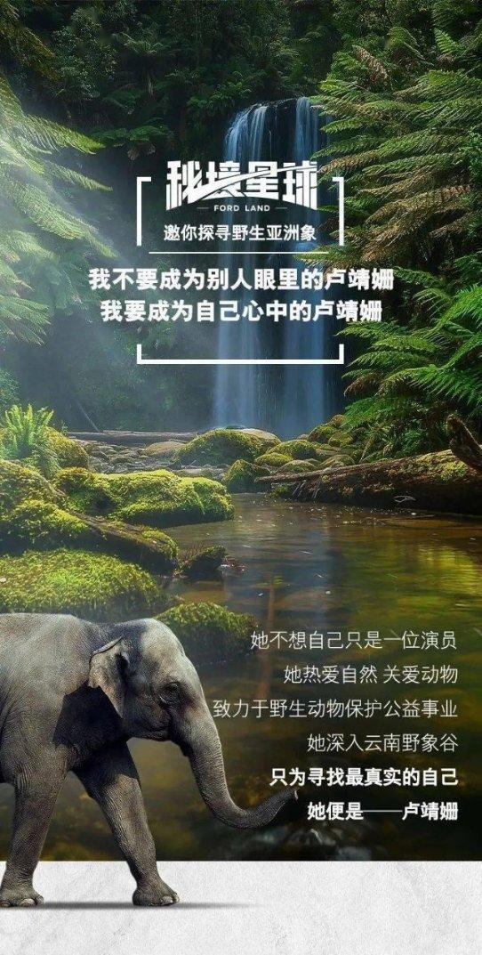 燃烧吧大脑免广告最新版