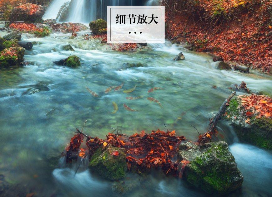 万众狂欢